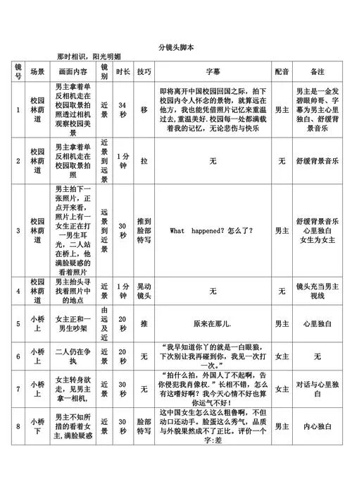 微电影剧情脚本-微电影剧本脚本改写