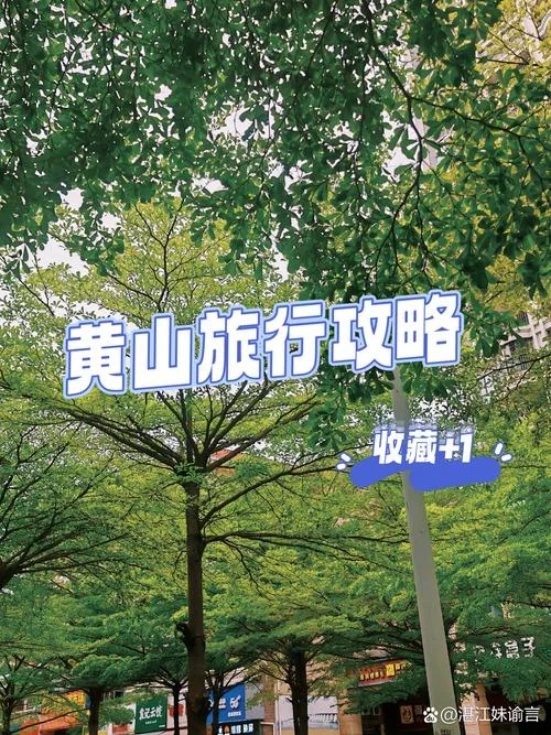 去黄山自助游旅游攻略_1