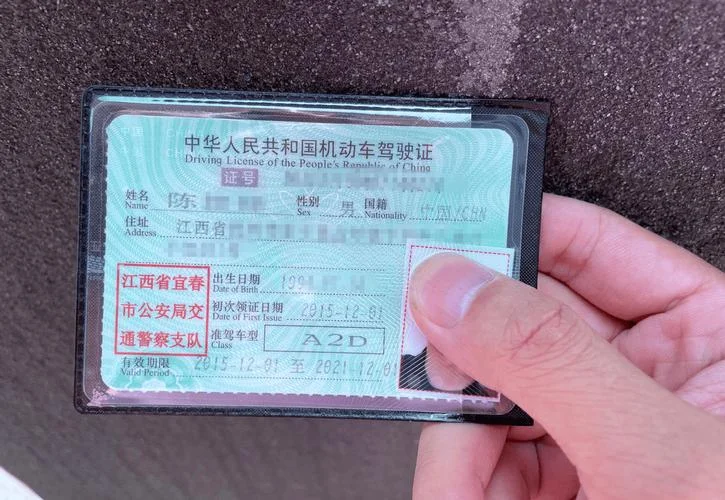 c1驾驶证怎么查_2