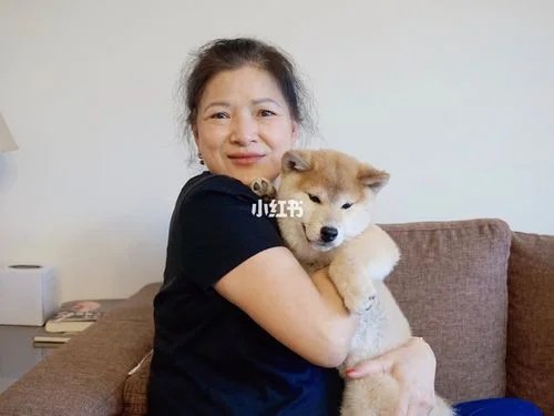 梦到男朋友的妈妈_2