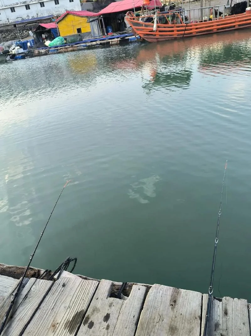 三都澳旅游攻略垂钓_1