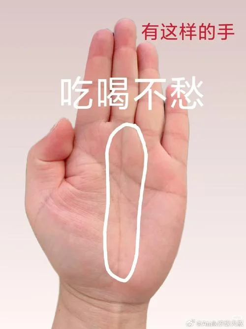怎么搞笑的说手相问题_1