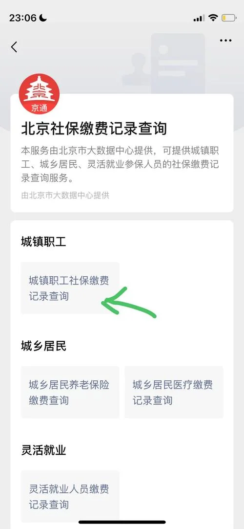 如何在手机上查社保缴费记录_1