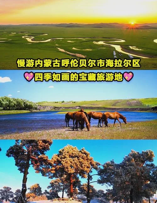 7月去海拉尔旅游攻略_1