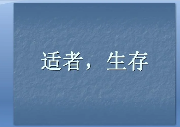 势者生存下一句是什么_1