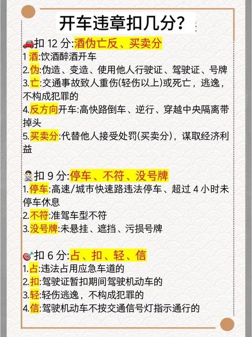 安阳如何查违章查询_2