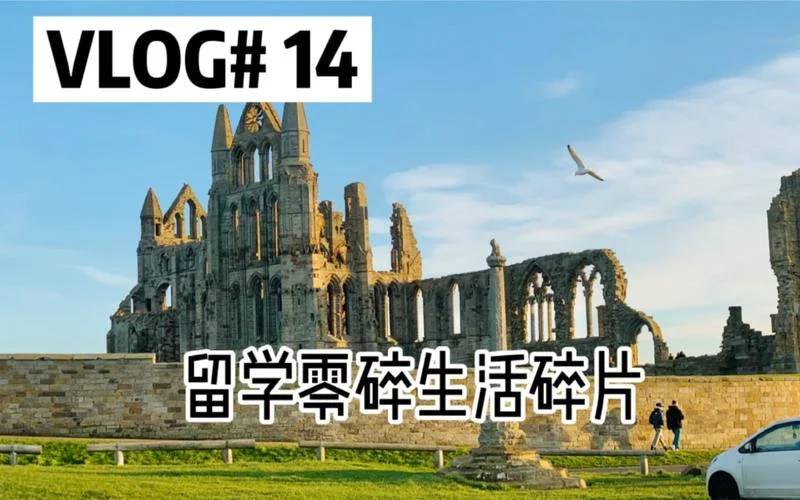 留学零碎感悟_2
