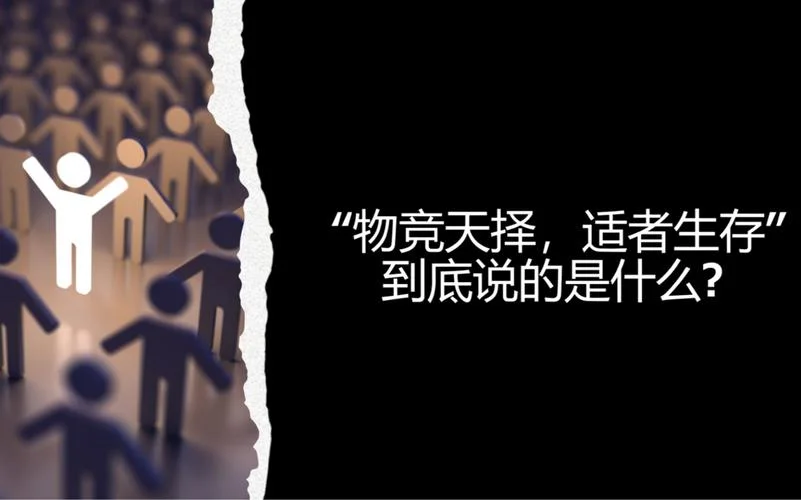 势者生存下一句是什么_2