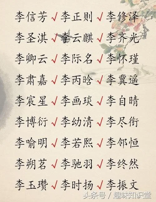 李姓名字男孩起名_2