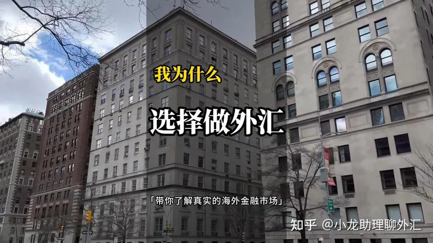 买什么外汇好_1