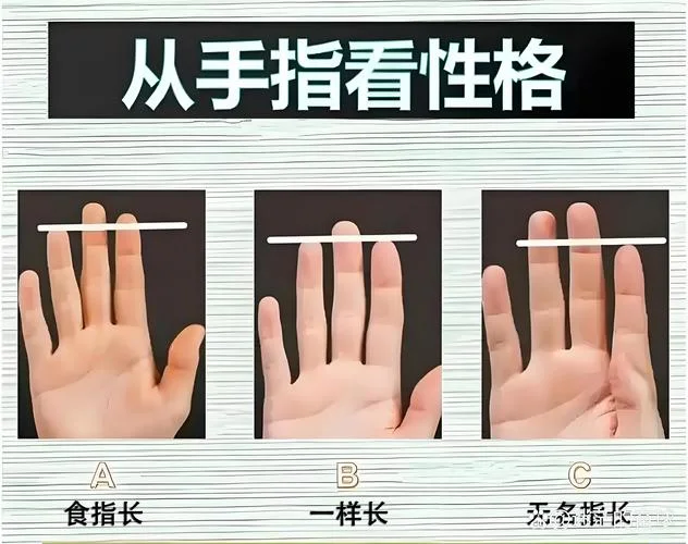 手指叫什么指_2