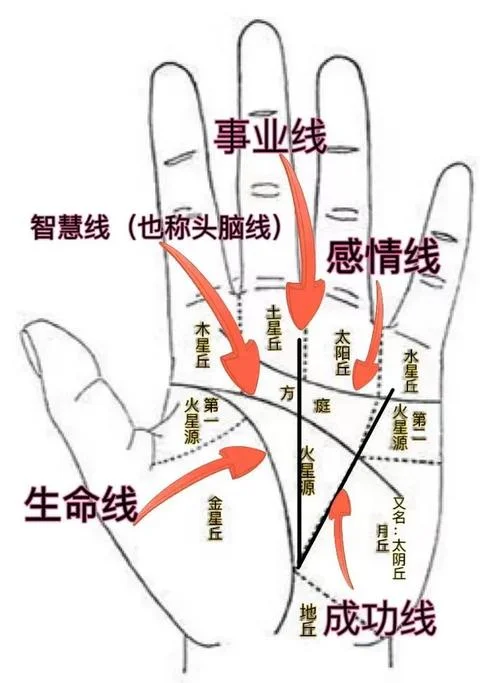 男人手相女孩子的细-男手相女细