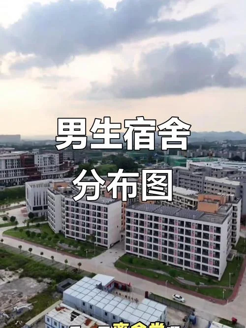 男寝男的叫什么童_1