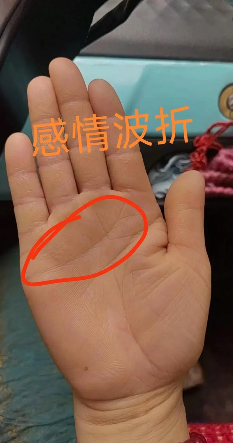 手相很好但是过不好_2