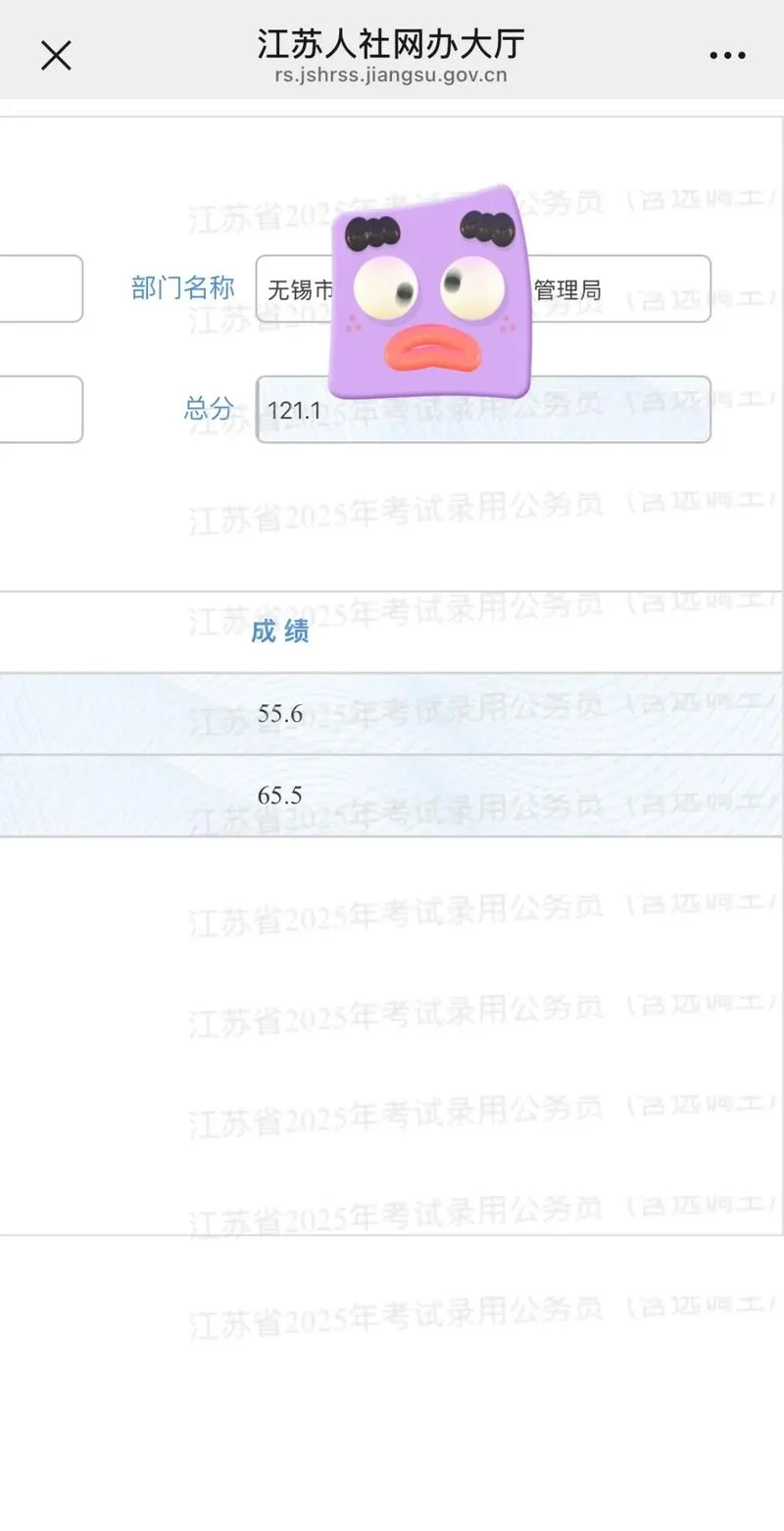 市考公务员成绩查询_1
