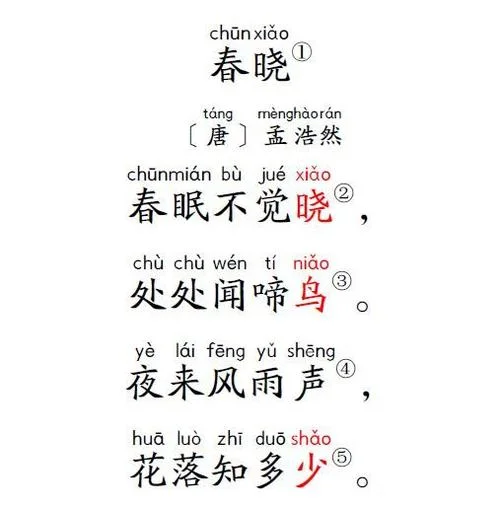 春晓作者是谁贺知章_1