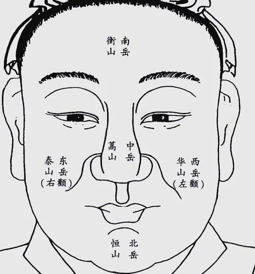 麻衣相师作者简介-麻衣相师简介