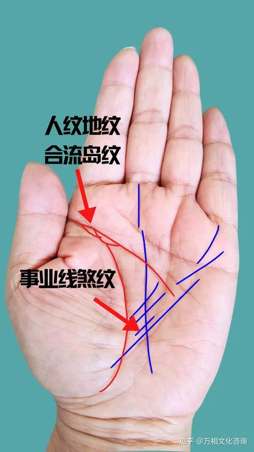 太阴丘有田字纹手相_2