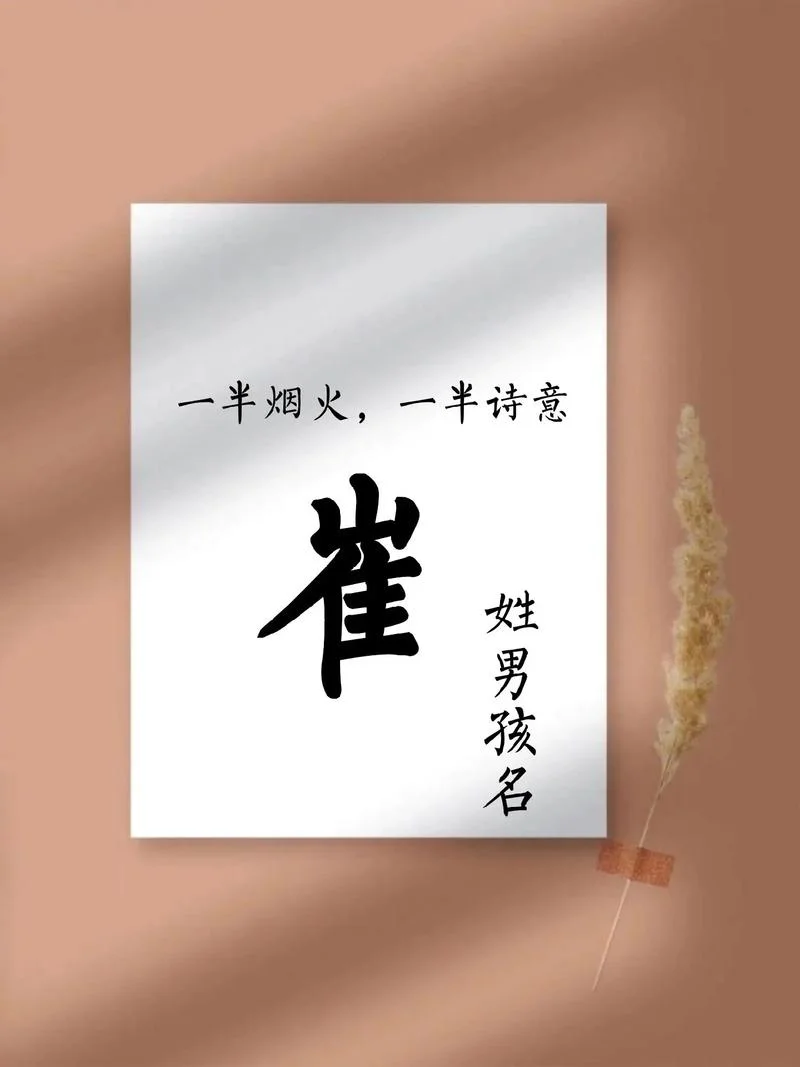 崔姓女孩起名两字的-崔姓女孩两字名