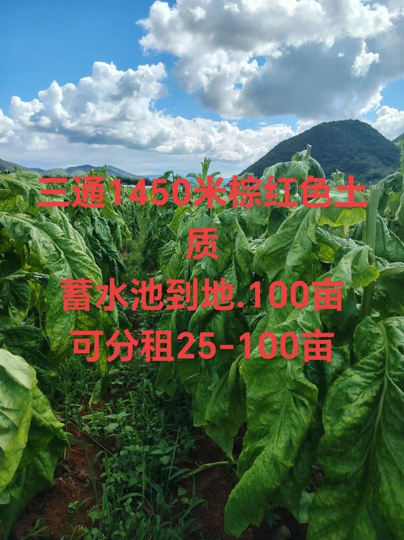 100公顷等于多少亩土地_1
