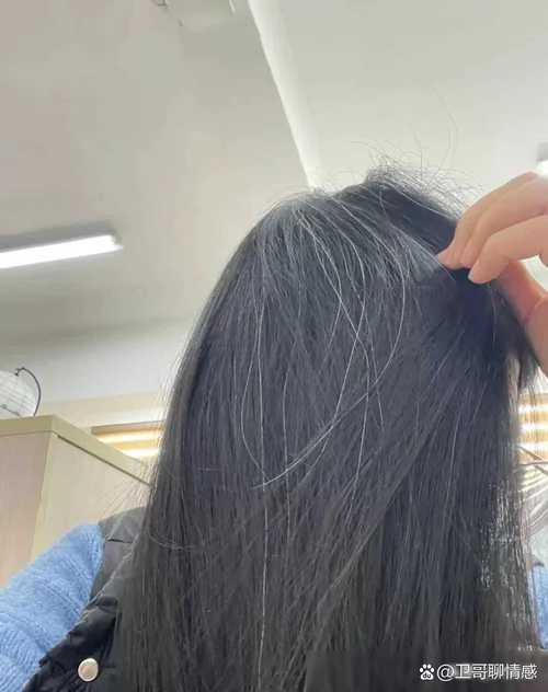 梦见自己头发白了-梦见白发