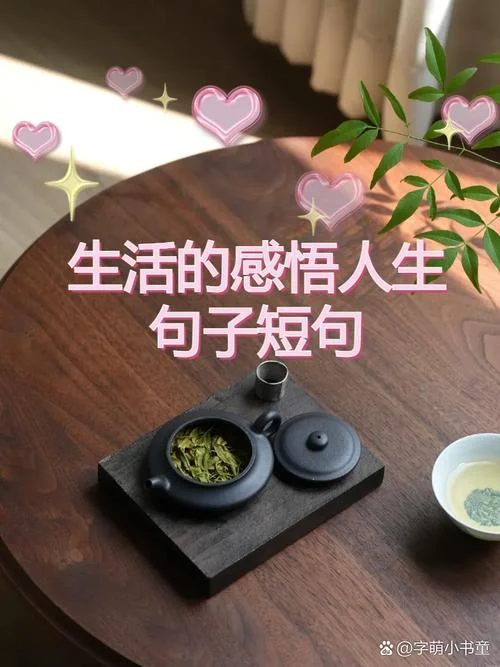 人生的意义感悟_1