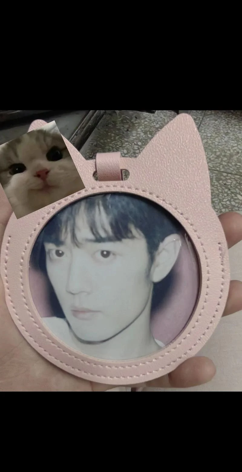 肖战的猫咪叫什么名字-肖战养的猫叫什么