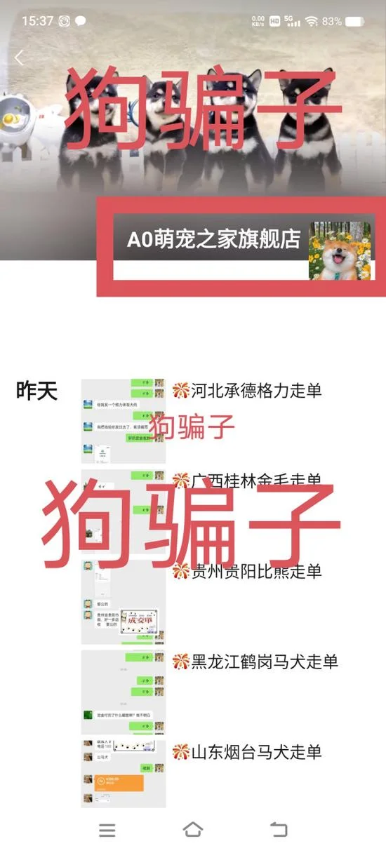 买狗上什么网_2