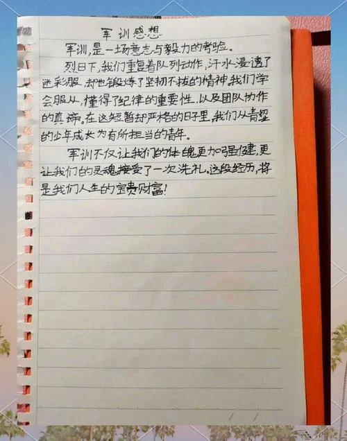 小学军训心得体会500-小学军训心得