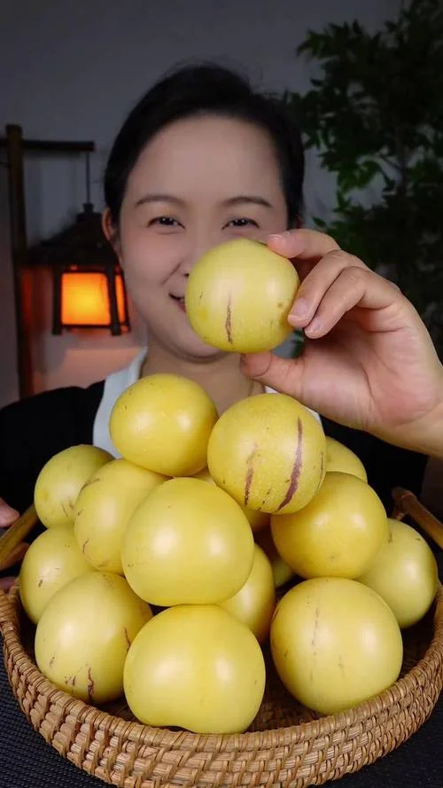 人参果几月份成熟云南-云南人参果六月成熟