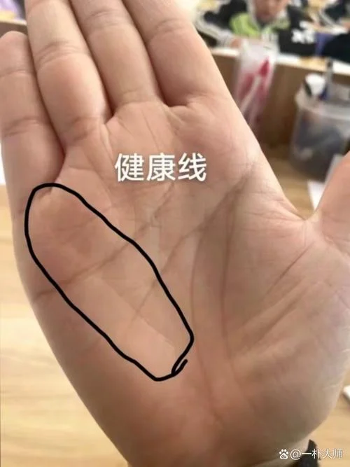手相健康线怎么看_1