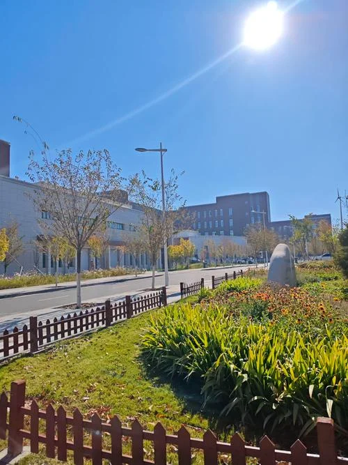 新疆大学占地面积多少亩_2