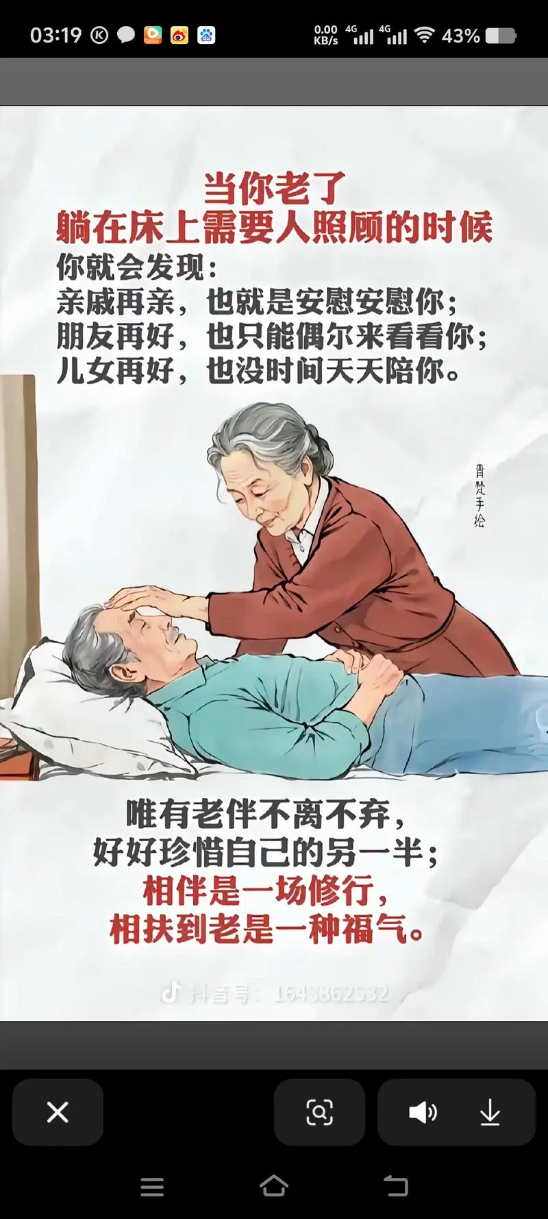 白发催人老的下一句_1