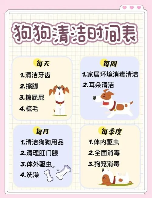 怎么用干洗粉给狗洗澡-干洗粉洗澡法
