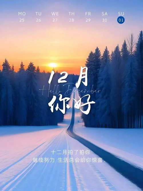 十二月再见朋友圈说说_2