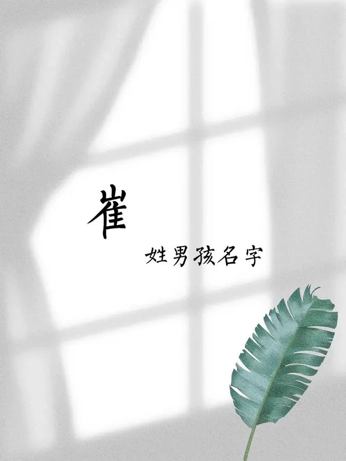 崔姓男孩起名100分以上_1