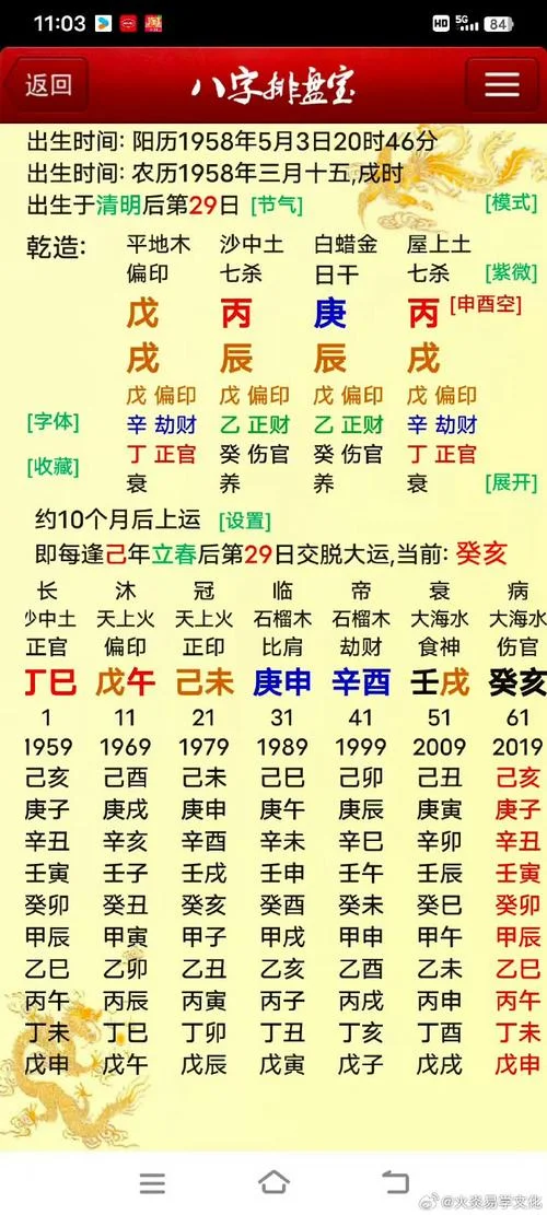 2008年是什么年命_2