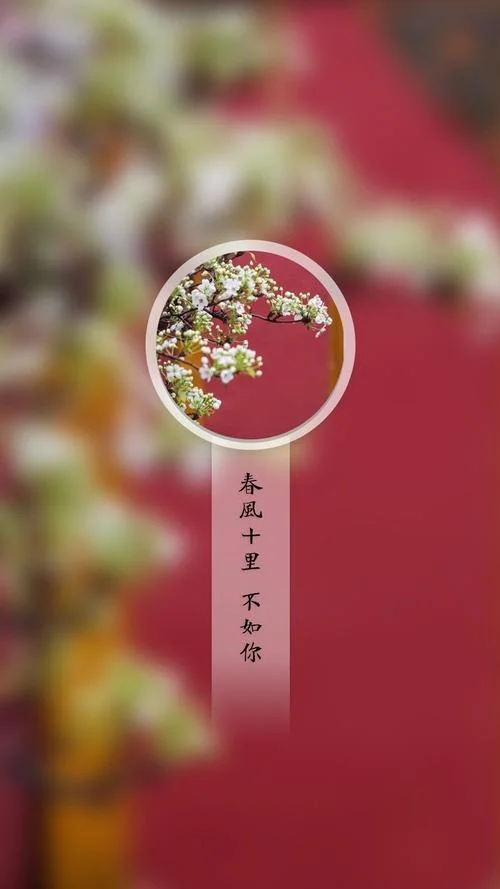 春风十里不如出处_2