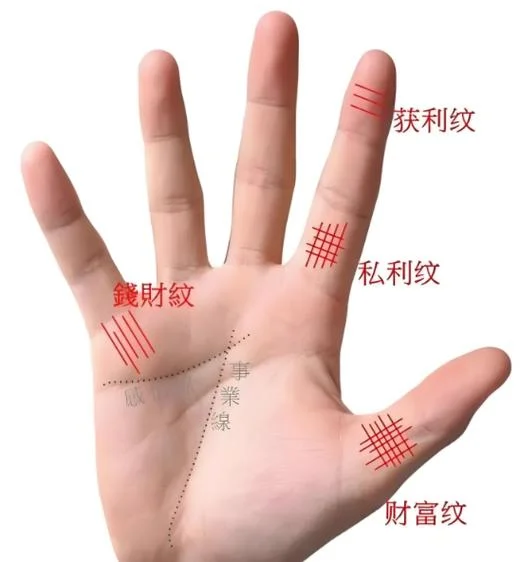 钱财纹手相图-钱财纹手相图