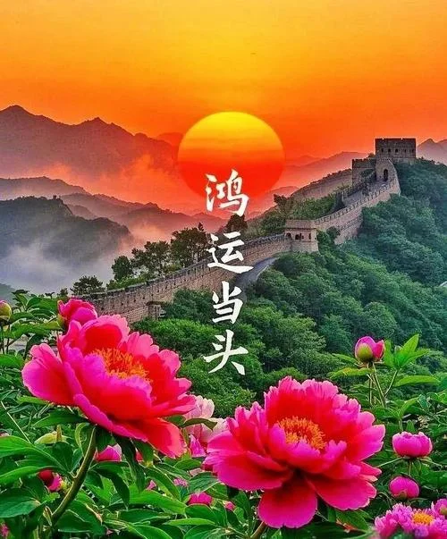 花无重开日出处_1