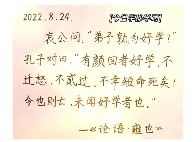 雍也篇第六读后感-雍也篇读后感
