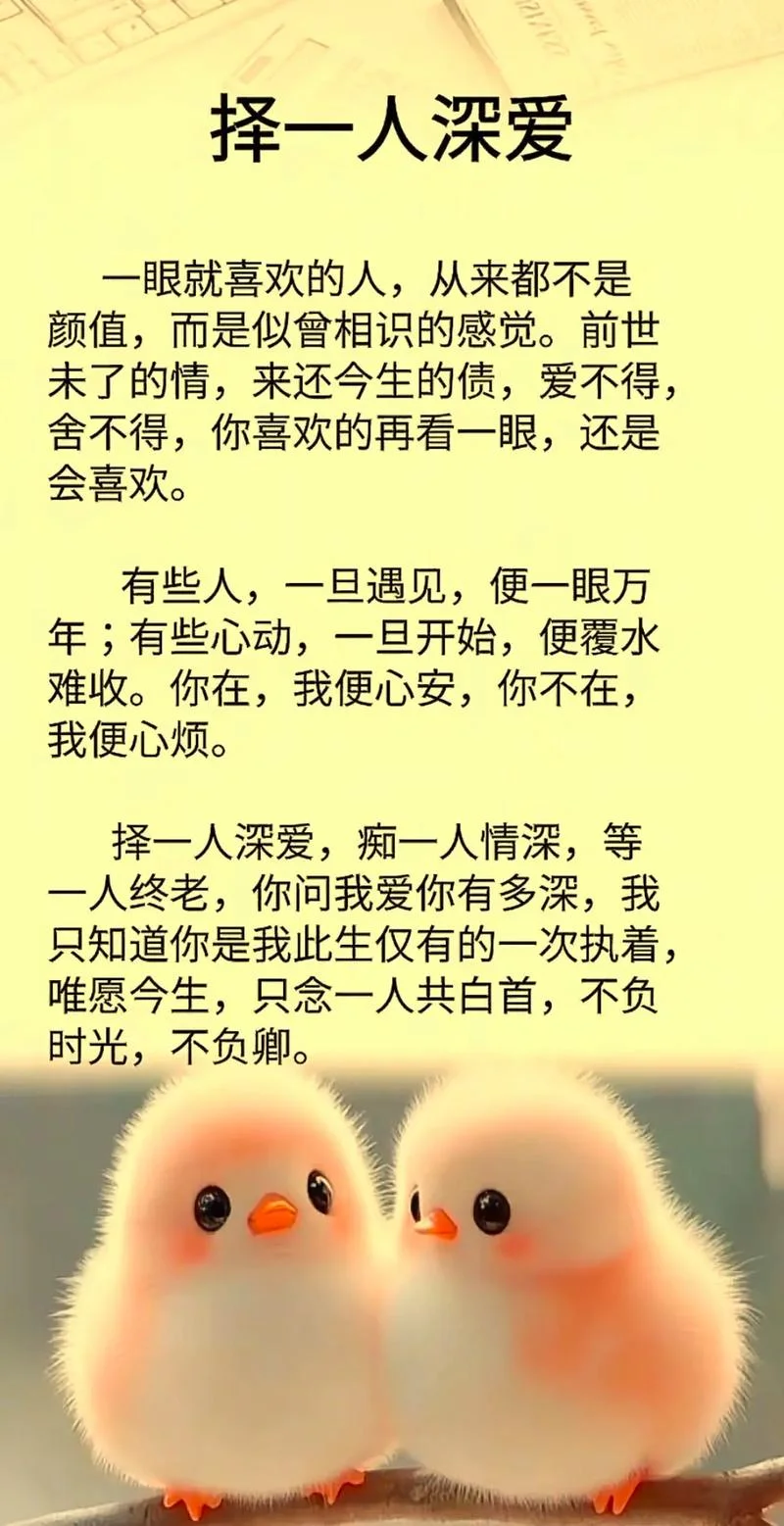 唯美心情短语人生感悟-人生感悟唯美心情