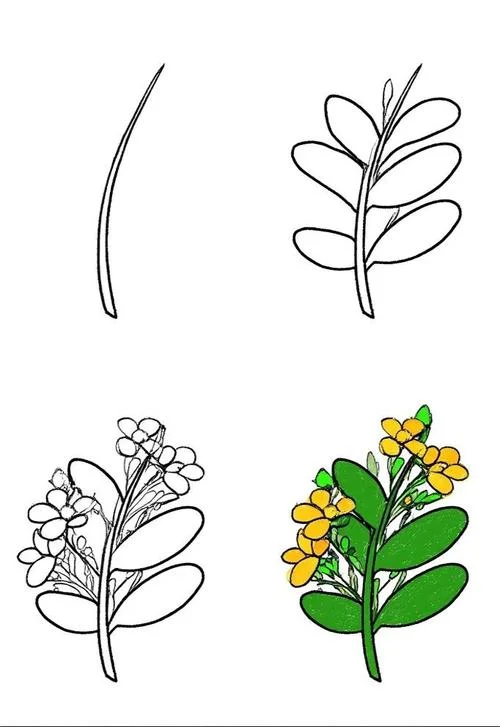 树叶图片简笔画小动物_1