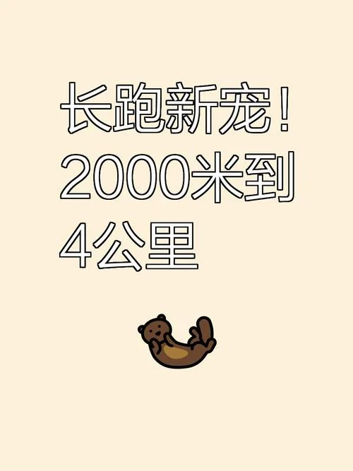 2000米是多少公里_1