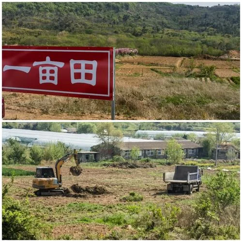 一亩土地多少钱_2