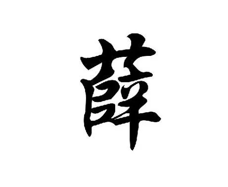 2022年薛姓女孩起名_2
