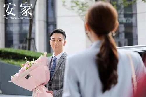 安家结局是什么意思_2