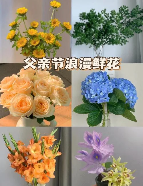父亲节送什么花图片-父亲节送花图片推荐