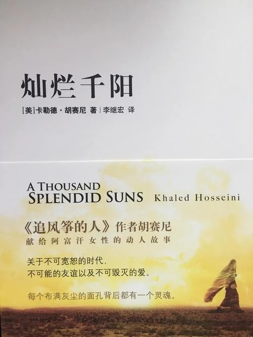 灿烂千阳结局_2