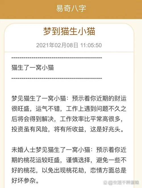 做梦梦到好多猫仔_1